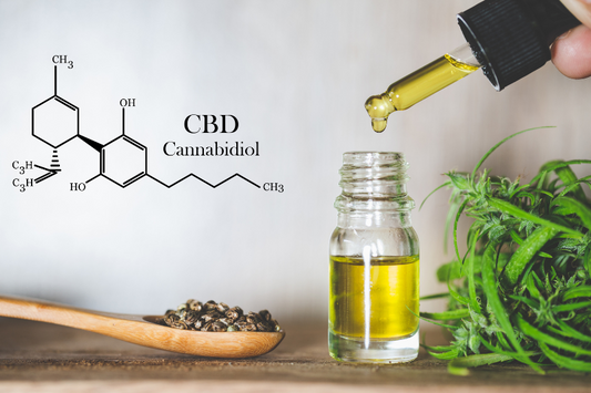 The Ultimate Guide to the Best CBD Products